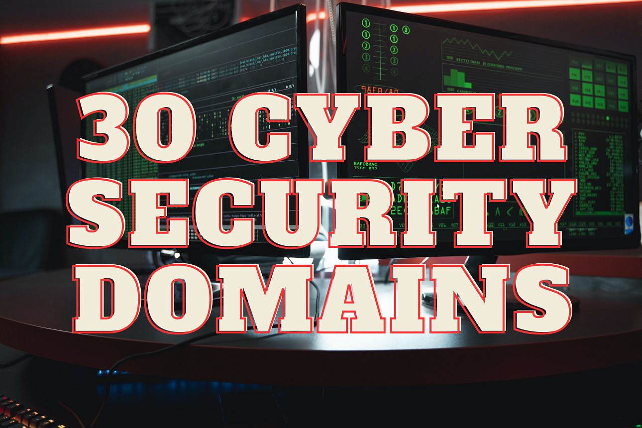 30 Cyber Security Domains begunpro