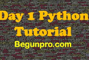 day 1 python begun pro