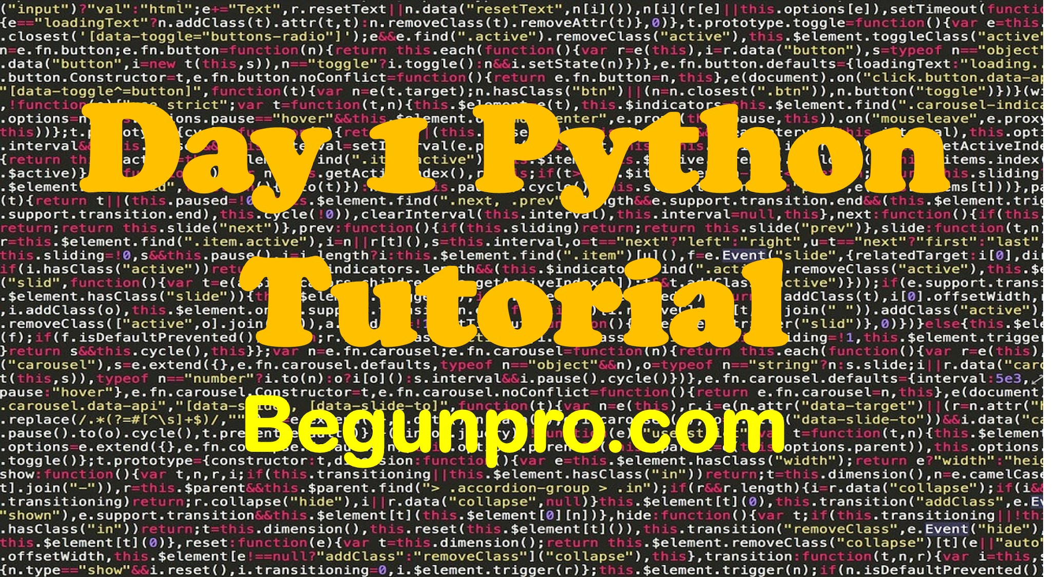 day 1 python begun pro