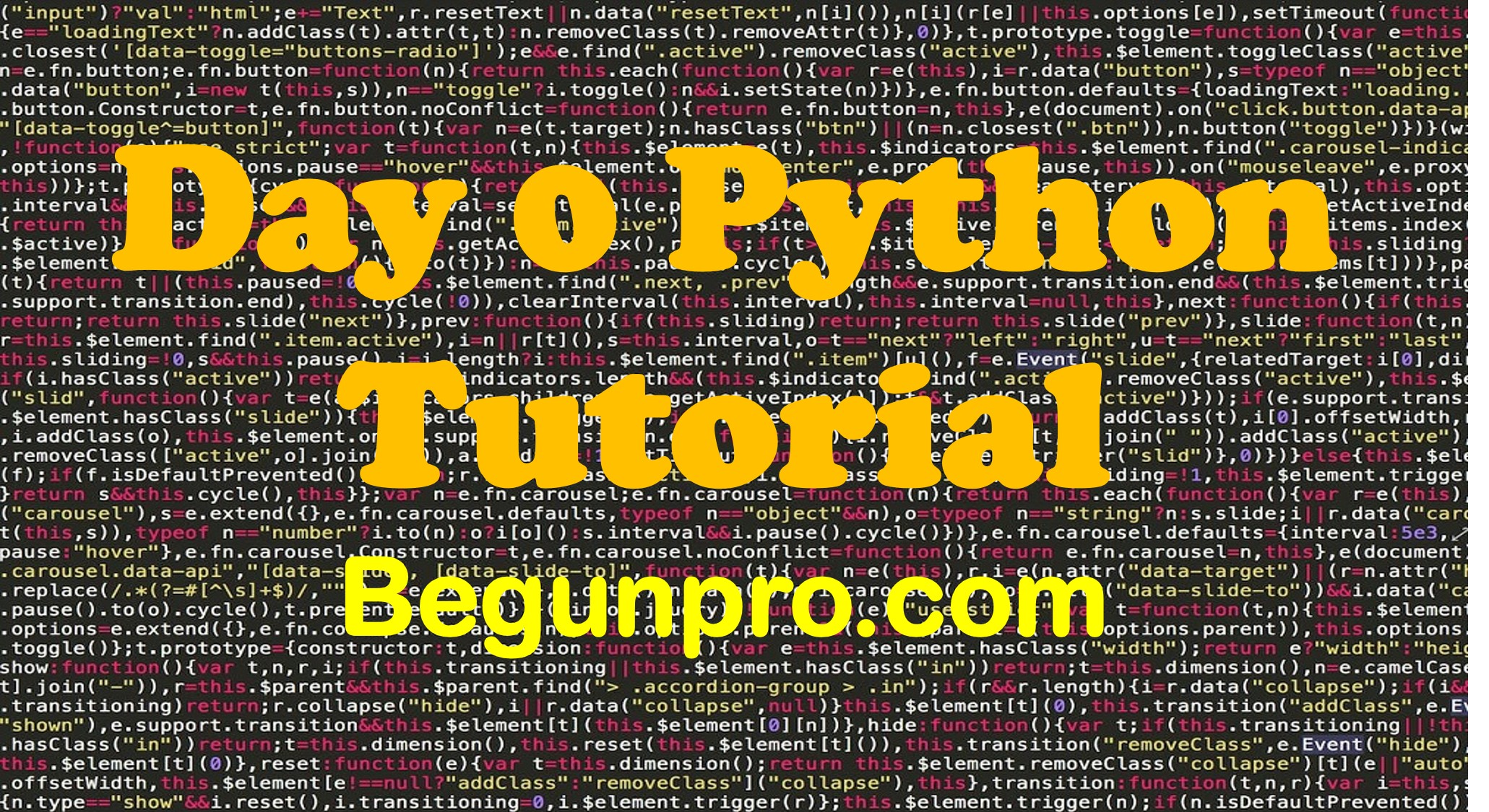 day0 python begun pro