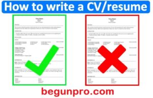 write job winning cv in 2024